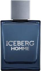 Iceberg