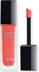 Dior Forever Blush Soft Filter 03