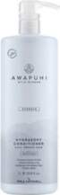 Paul Mitchell Awapuhi Wild Ginger HydraSoft