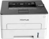 Printeris Pantum P3010DW