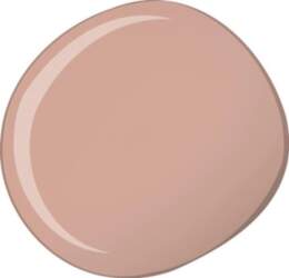 LOreal Paris True Match Foundation   R5