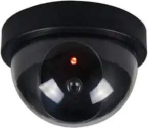 Riff Dummy security camera