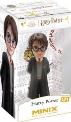 MINIX HARRY POTTER - HARRY POTTER
