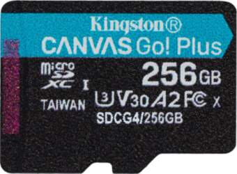 Kingston Canvas Go! Plus 256 GB