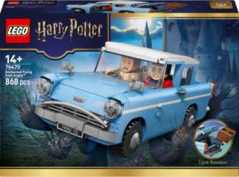 LEGO Harry Potter 76470 Enchanted Flying
