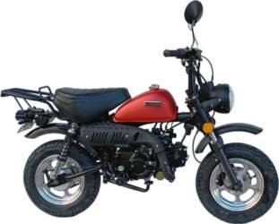 CONAN TUNINGR 10",