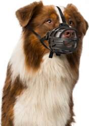 Duvo Plus Dog muzzle rubber, S