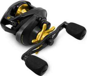 Multiplikators Delphin ZANDERA Casting