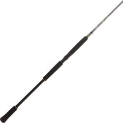 Spinings BFT Raptor G2 Pike Multi