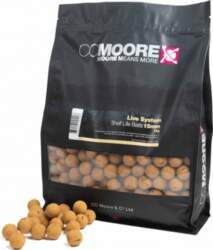 CC Moore CCmoore Live systems boilas