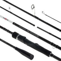 Fish 2 Fish Spinings Fish2Fish «Activator