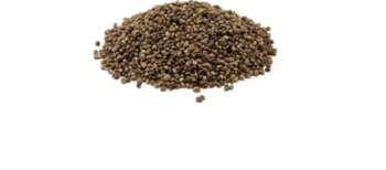 Tigernuts Sausā Spānijas Kaņepe