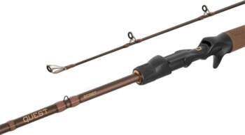 Spinings Delphin QUEST B´CAST