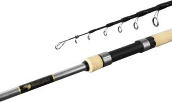 Spinings Delphin AZTEC tele