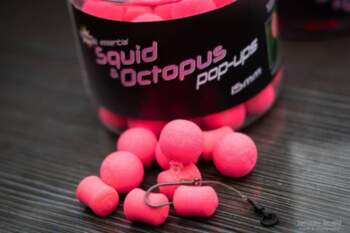 Pop Up Dynamite baits Squid &
