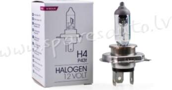 Z4 - H4 Halogen M-TECH bulb