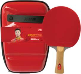 Galda tenisa rakete DHS Racket Gold