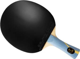 Galda tenisa rakete Racket DHS Long