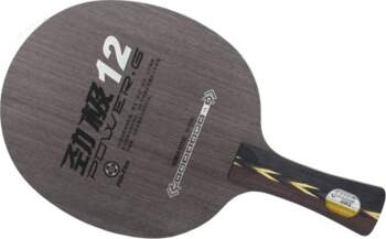 Galda tenisa rakete DHS Power G12