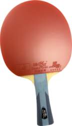 Galda tenisa rakete Double Fish Racket