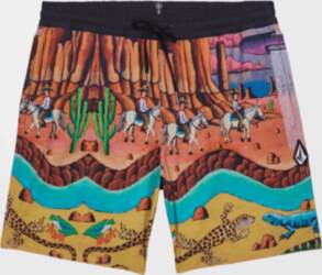 VOLCOM Fa Mickey Mason Trunk 17