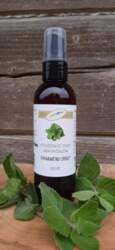 Piparmētru hidrolāts, 100 ml