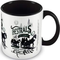 Harry Potter Thestrals kauss (315ml)
