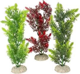 Aqua Della Elodea Densa 25cm