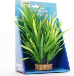 Yusee Vallisneria 20cm