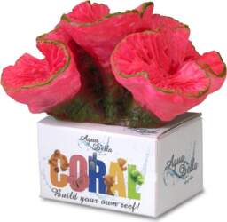 Aqua Della Coral Module Open Brain