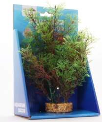 Yusee Red Kabomba 20cm