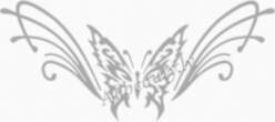 BL Lashes B002