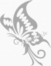 BL Lashes M007