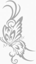 BL Lashes B001