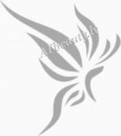 BL Lashes M008