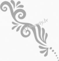 BL Lashes B904