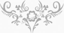 BL Lashes B901