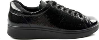 ECCO 38