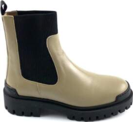 Angulus 38