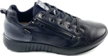 LEGERO 38 1/2