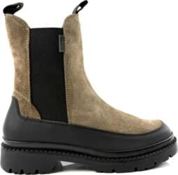 GANT 41