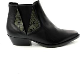 POLLINI 37