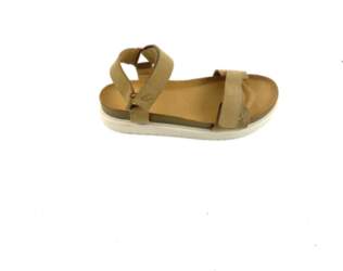 Camel Active 37