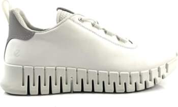 ECCO 41