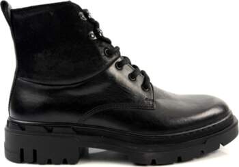 LLOYD 42 1/2