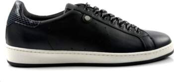 POLLINI 45