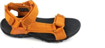 Camel Active 38