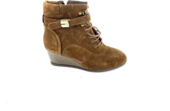 Scholl 40