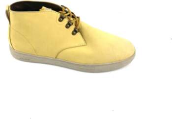Clae 44