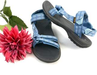 GEMINI TEVA 39